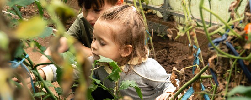 Grüne-Daumen-Initiative - KITA Krachmacherstraße - Demo Website für Kindergarten und Kindertagesstätte in Aschaffenburg